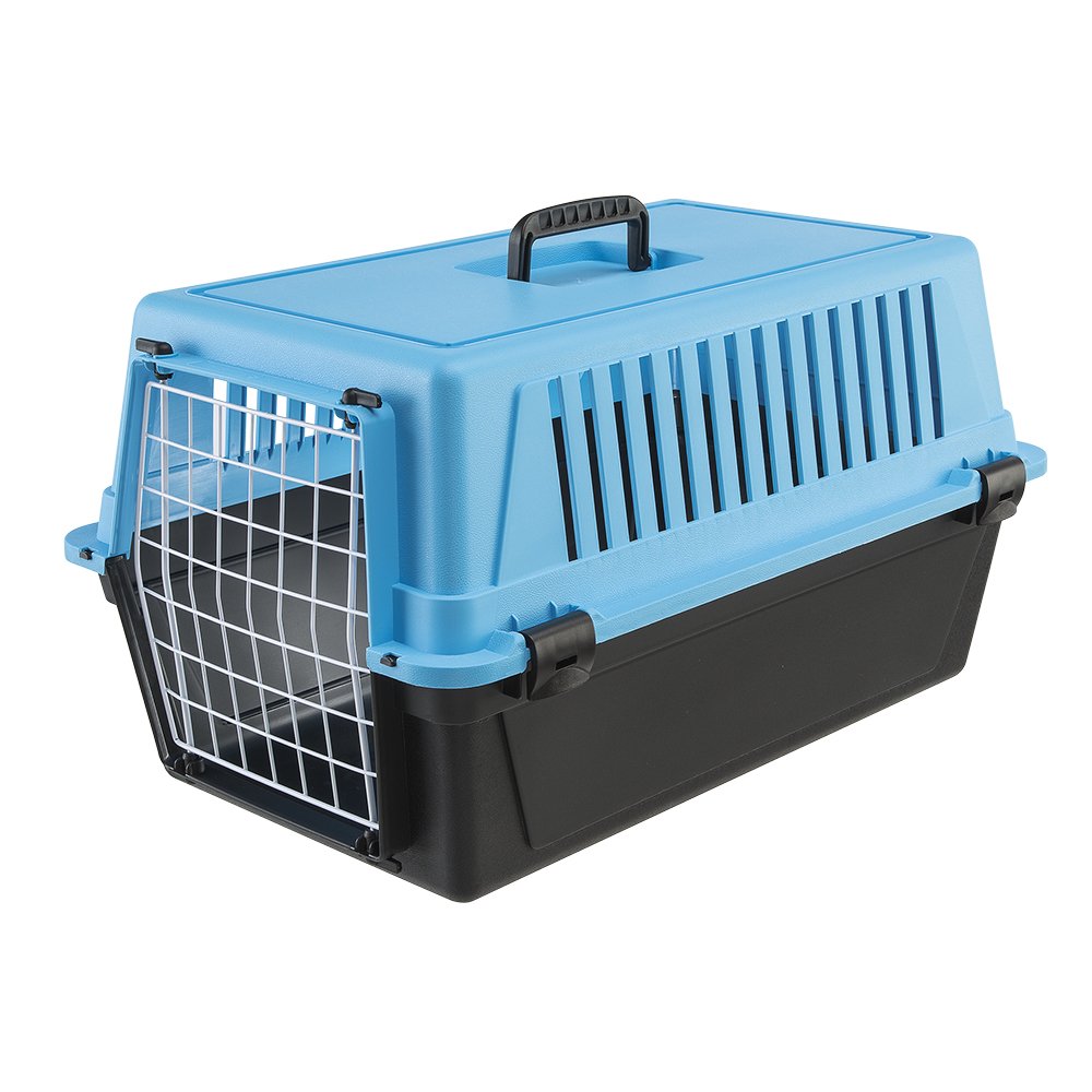 Dog Travel Items