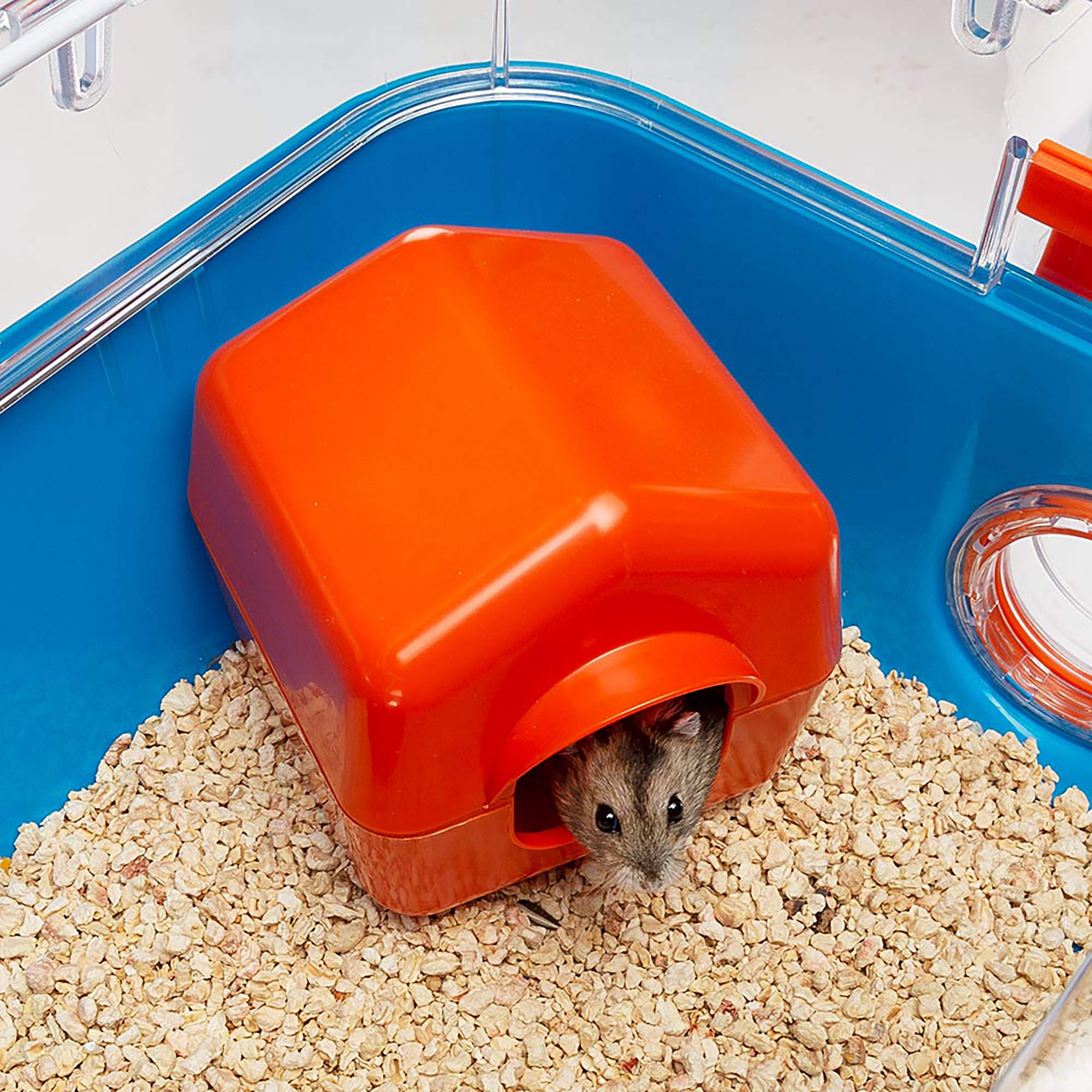 Ferplast Hamster Cage, 31.3 x 11.61 10.61 x 10.35 - Image 4