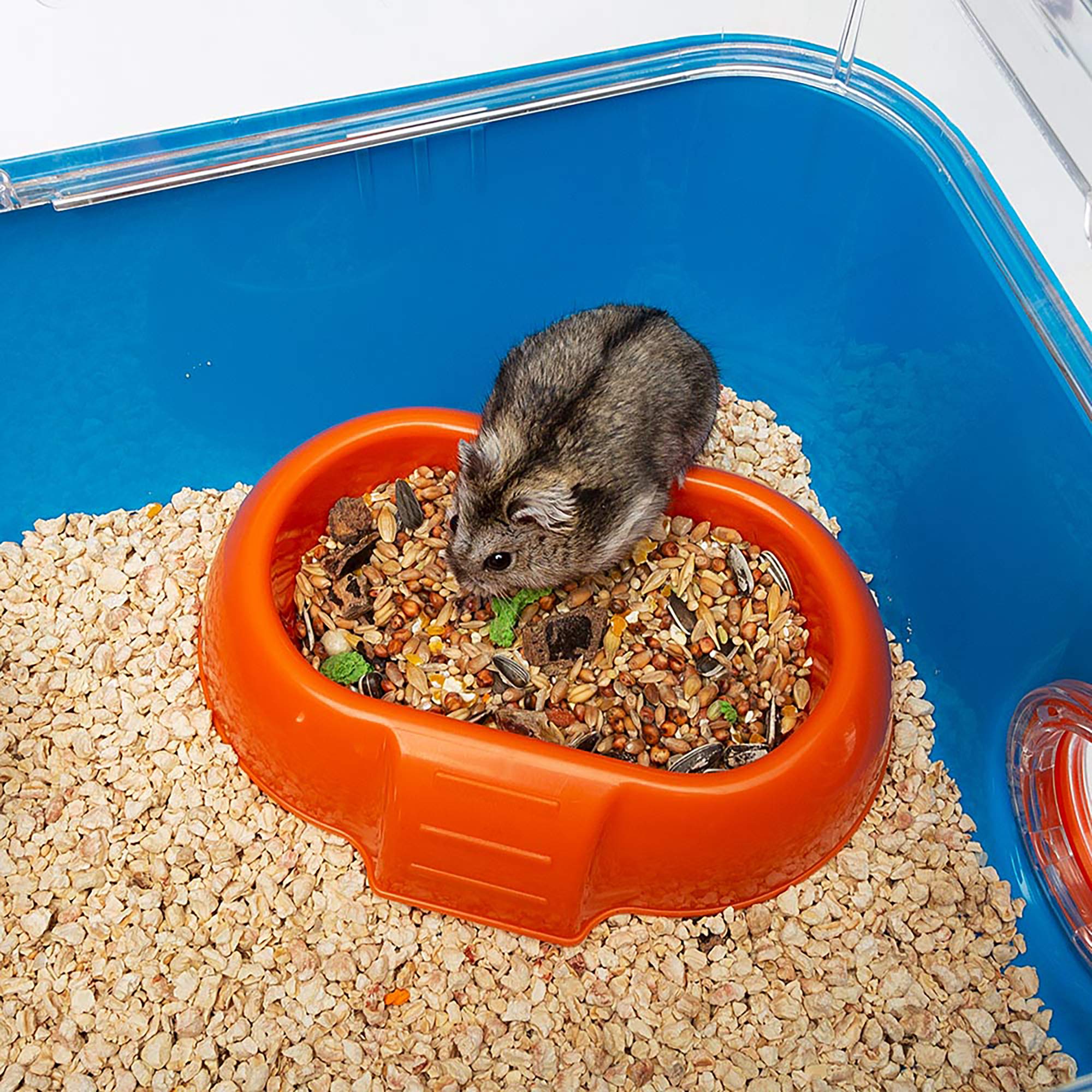 Ferplast Hamster Cage, 31.3 x 11.61 10.61 x 10.35 - Image 5